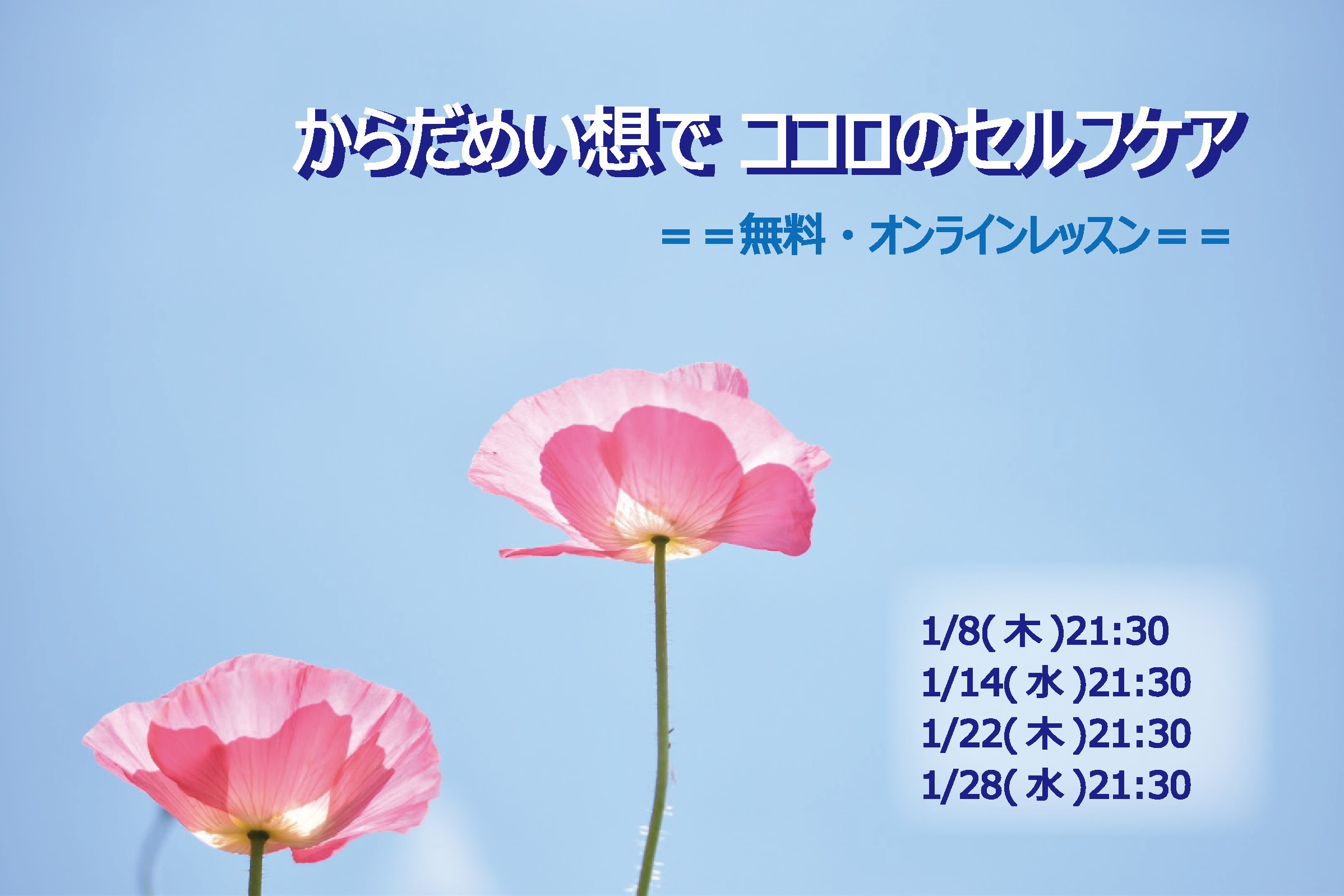 画像の説明 画像の説明